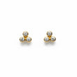18 kt Diamant øreringe - 27109D12