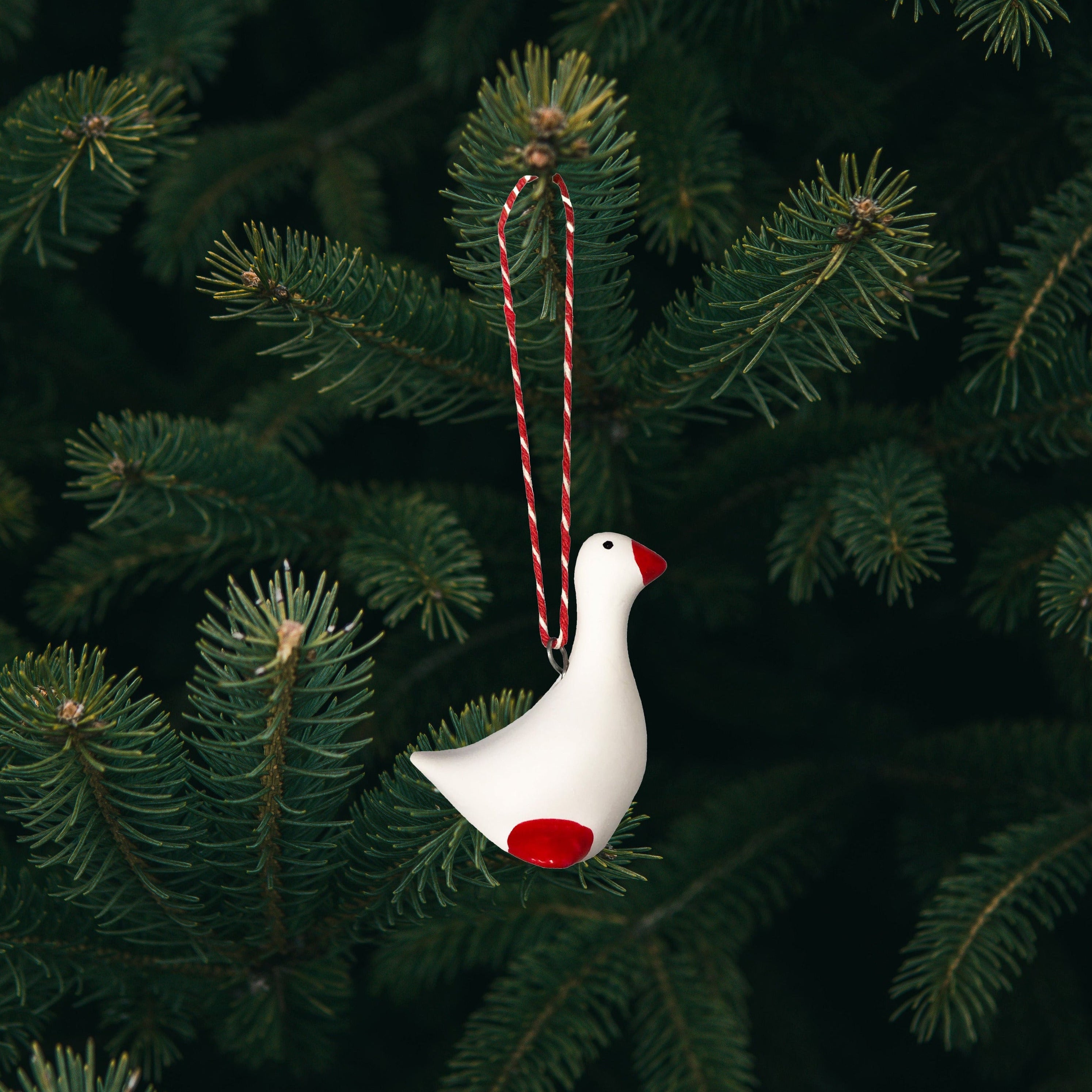 Lille Dragørgås med snor