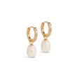 Enamel øreringe - E429G-Sparkle