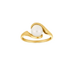 Siersbøl 8 kt Ring - 10422850300-54