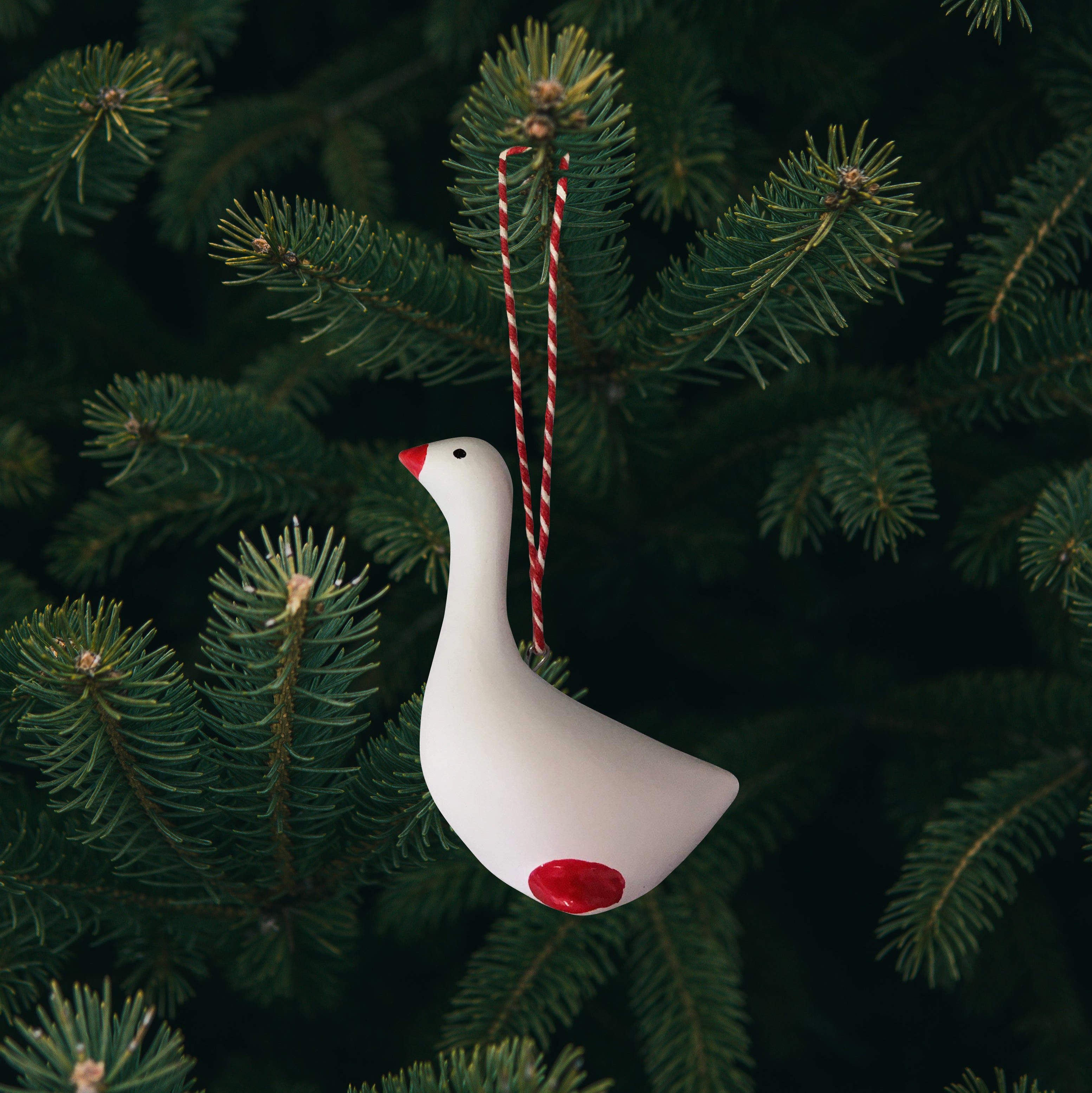 Mellem Dragørgås med ophæng